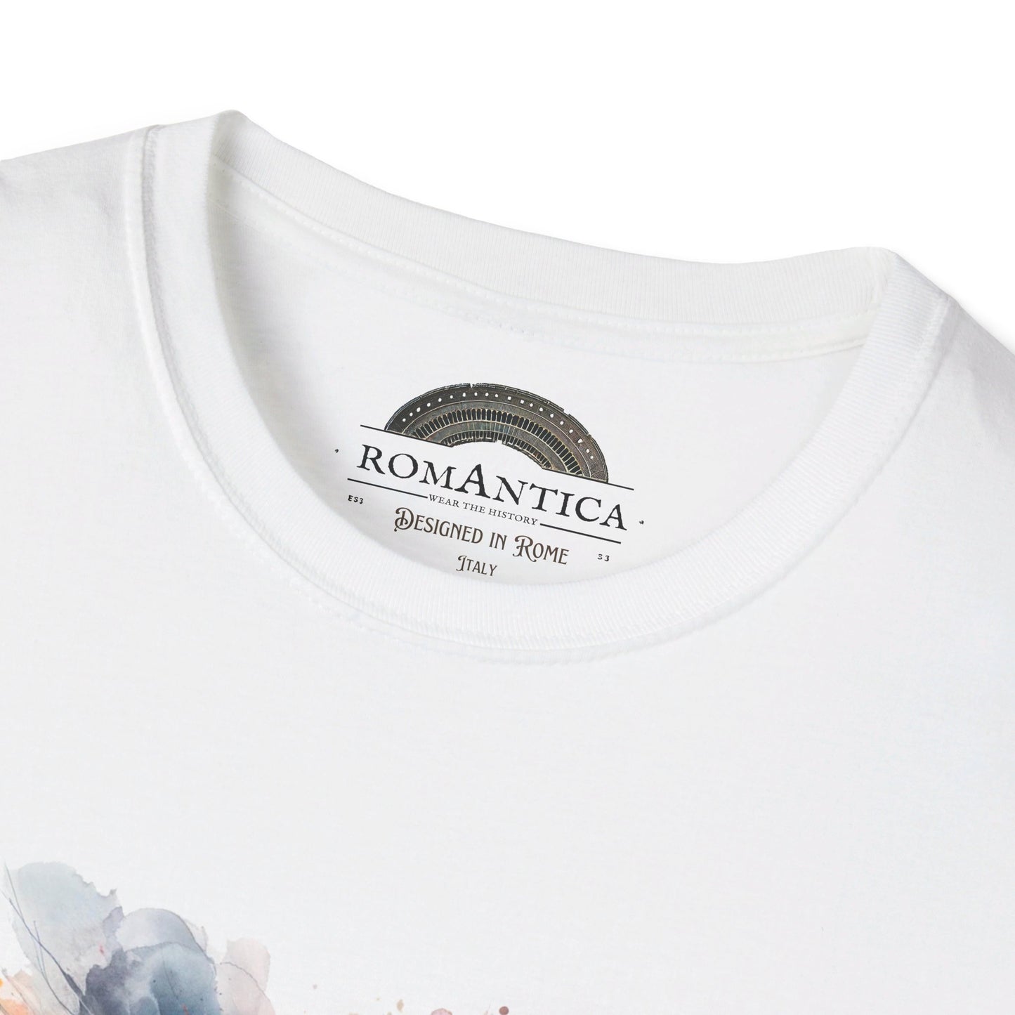 T-Shirt. Colosseum. Vision of the Colosseum